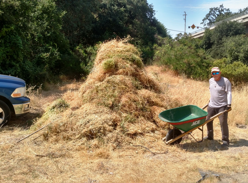 Tom and the weed pile